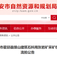 起始價8億元!安徽一建筑石料用灰巖礦無人報價流拍
